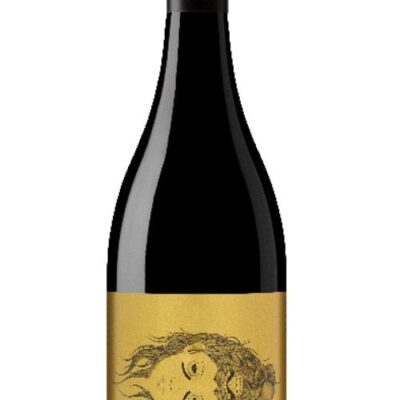 Hentley Farm Villain & Vixen Barossa Valley Shiraz 2022 - 12 Bottles
