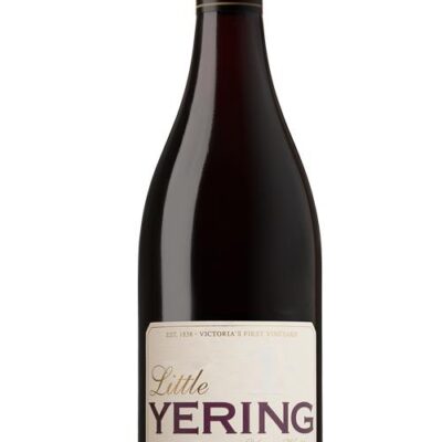 Yering Station Little Yering Shiraz 2019 Victoria - 6 Bottles