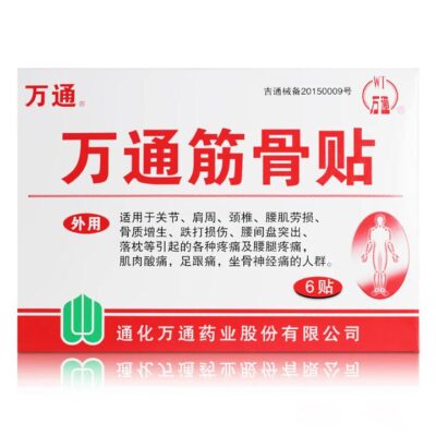Wantong Muscle and Bone Pain Relief Patches - 6 Patches