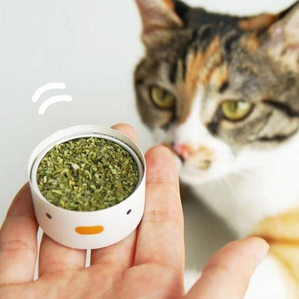 Purroom Premium Natural Catnip - 3g