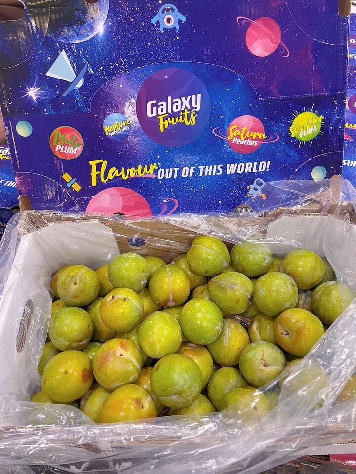 Top Grade Galaxy Super Sweet Green Gem Plums (also known as Honey Sugar Plums) - 1kg