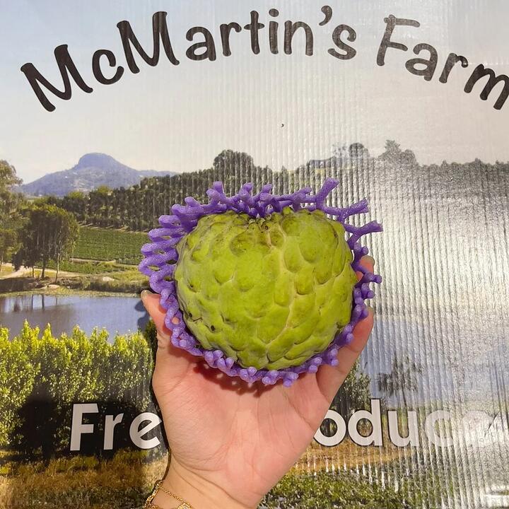 Custard Apple - 1 Piece