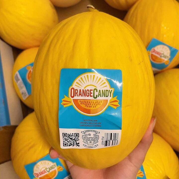 Labelled Orange Candy Melon - 1 Piece -