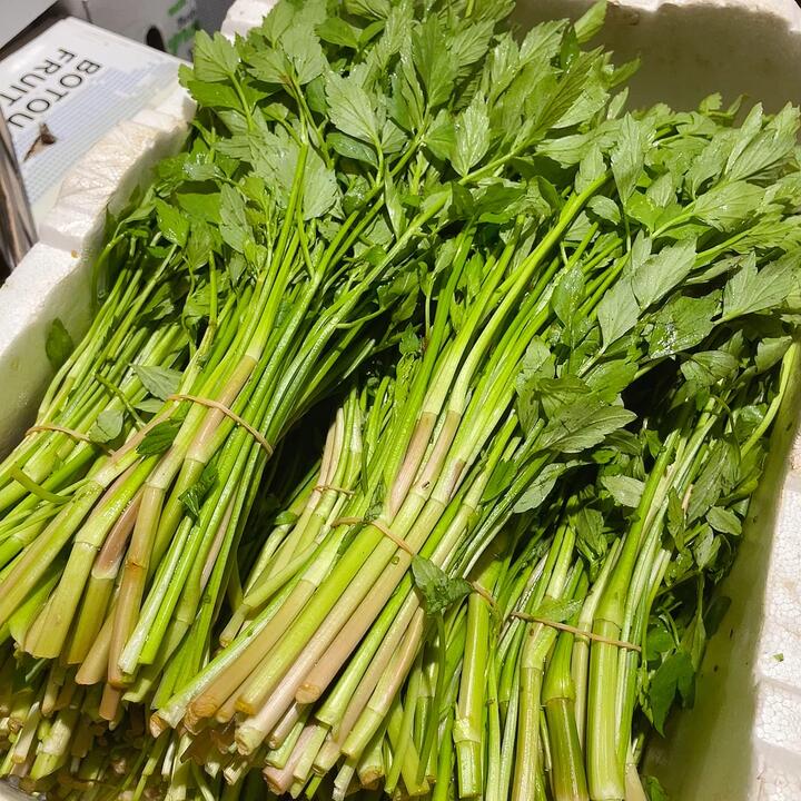 Fresh Water Celery - Premium Cress, 1 Bundle