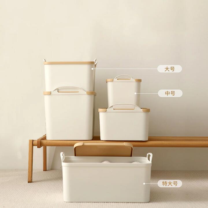 FaSoLa White Medium-Sized Portable Storage Box