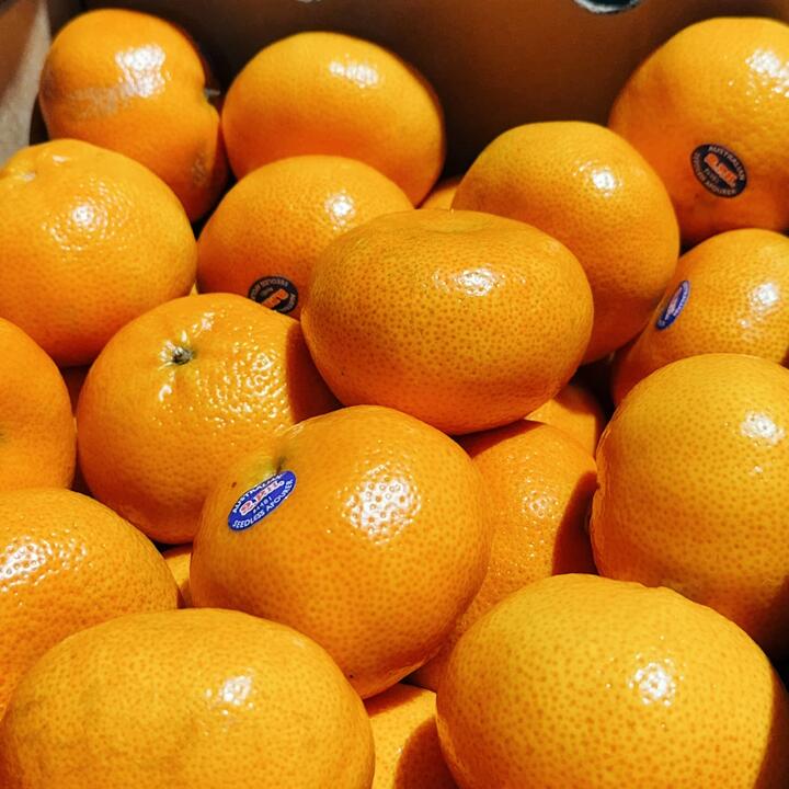 Tangold Mandarins - 1kg