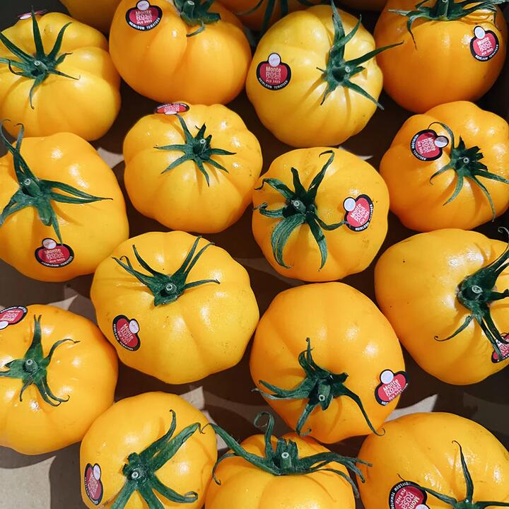Monte Rosa Yellow Oxheart Tomatoes - 1kg