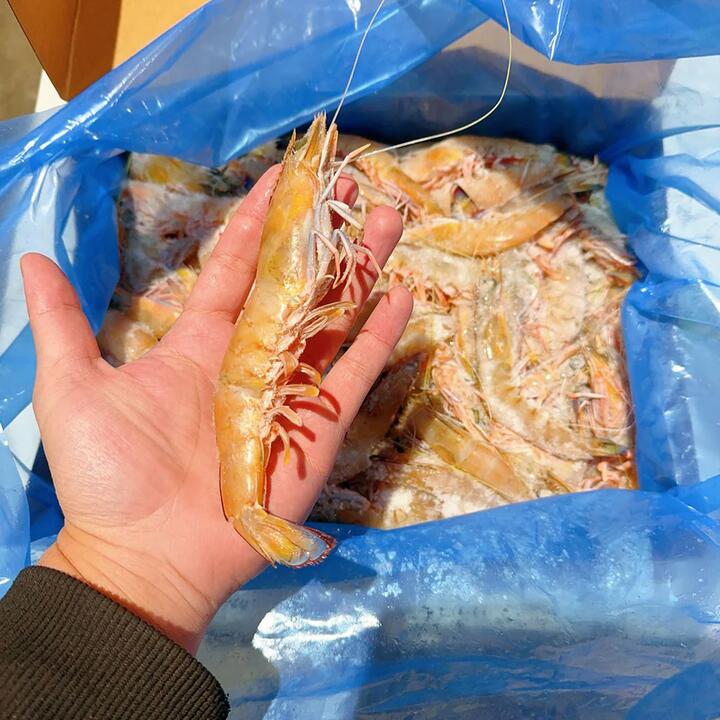 Kingfield Frozen Blue-Tail King Prawns (Raw) - Size M/L, 1kg