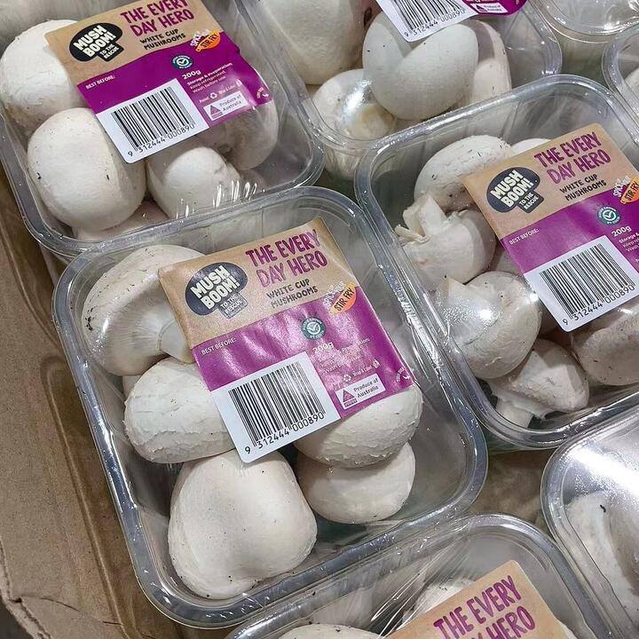 Mush Boom White Cup Mushrooms - 1 Pack