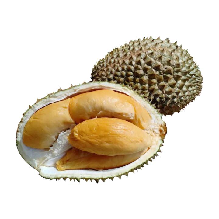 D2 Datuk Nina Dream Lover Durian - 1.6kg Each