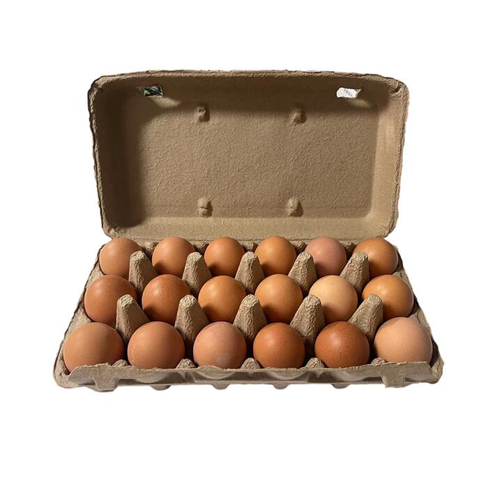 Canobolas Free-Range Eggs XL Extra Large 18pcs 1kg