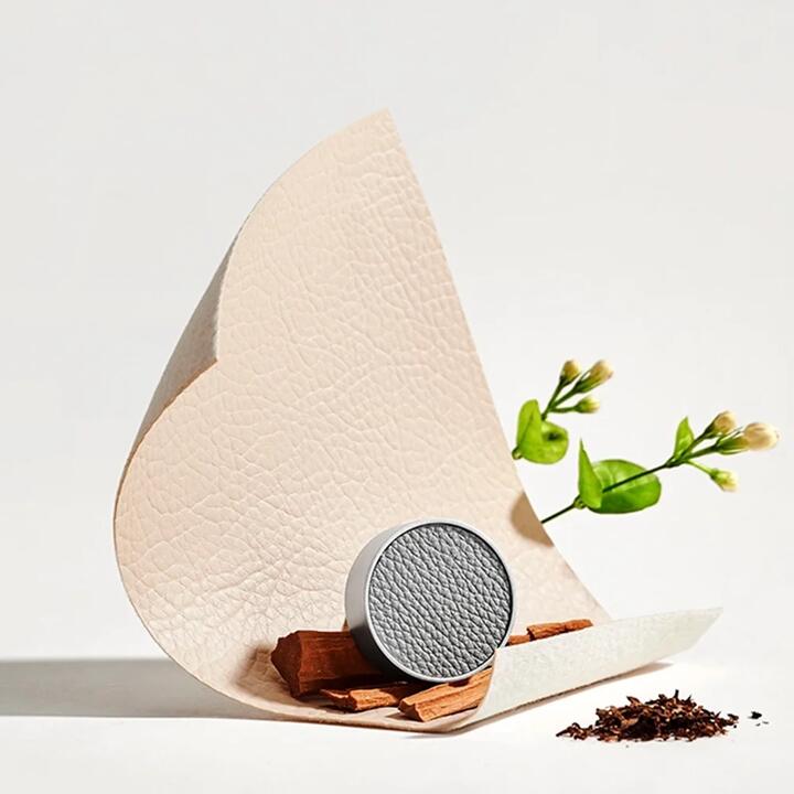 Lifease Sense of Breath Car Air Freshener Refill - 4g