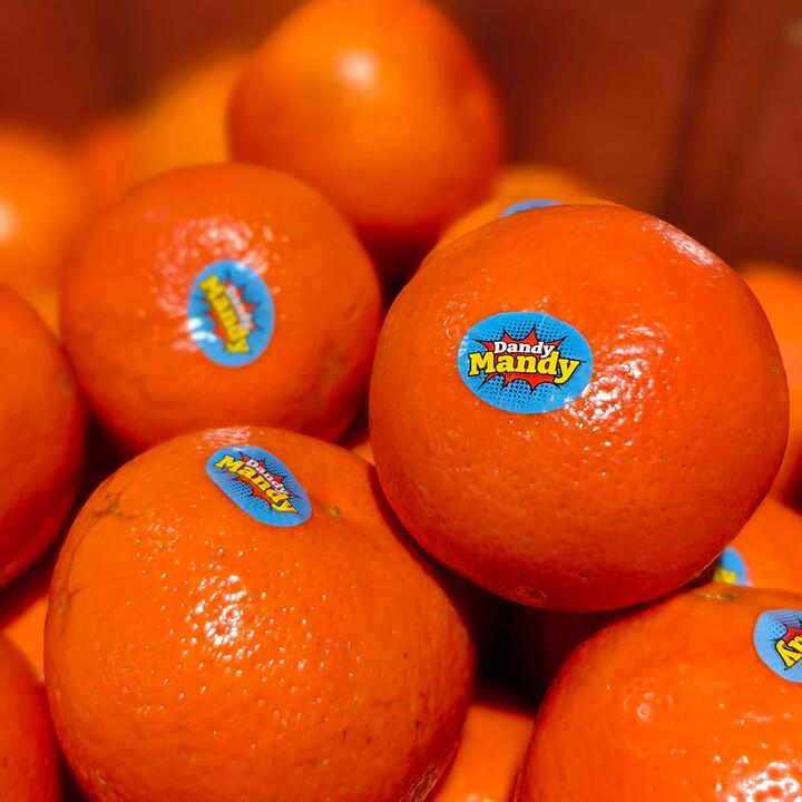 Dandy Mandy Seedless Sweet Mandarins - 1kg