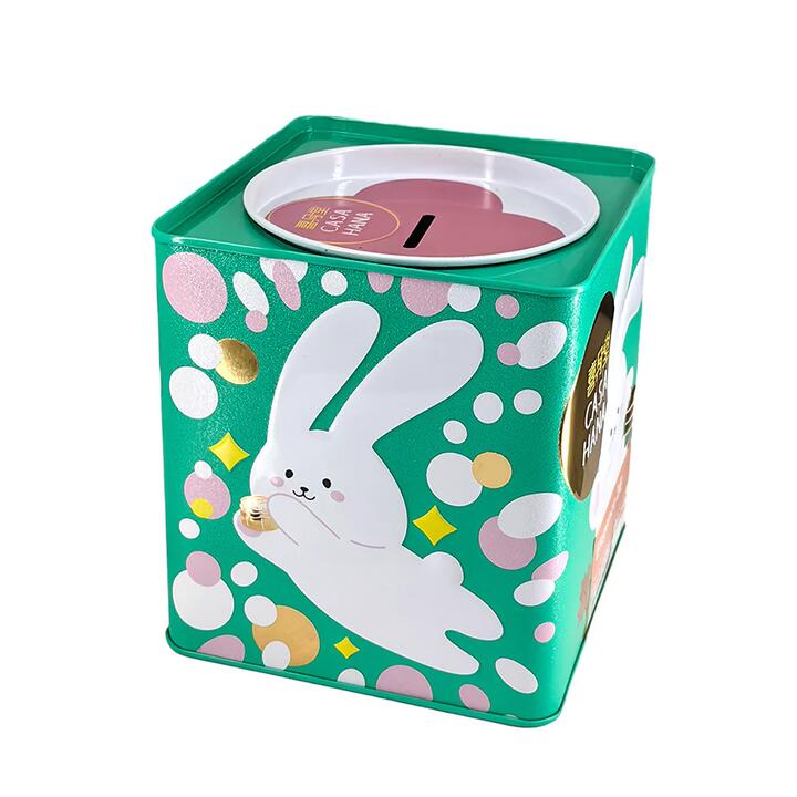 Casa Hana Gift Box with Coin Bank Design - 2 Pieces, Green, 340g