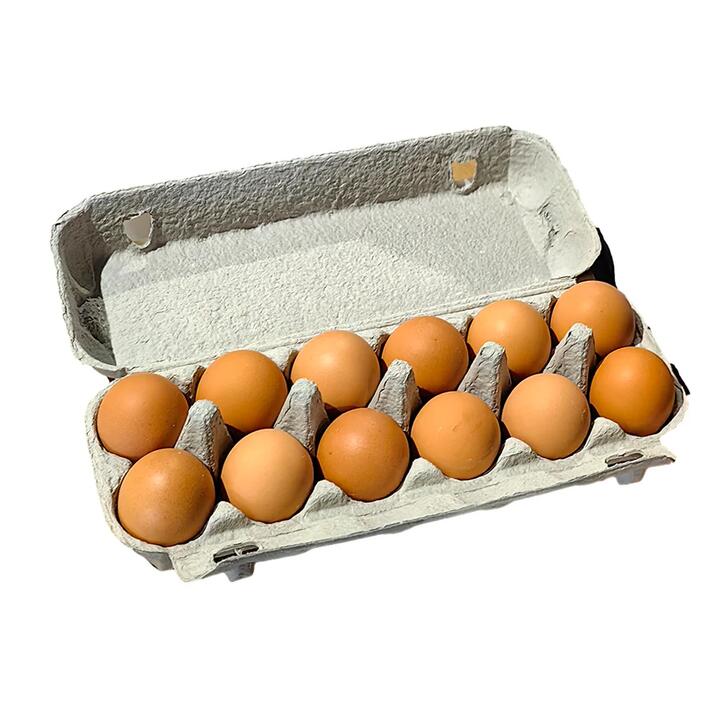 First Choice Farm Fresh Cage Eggs XL - 12 Pieces, 700g