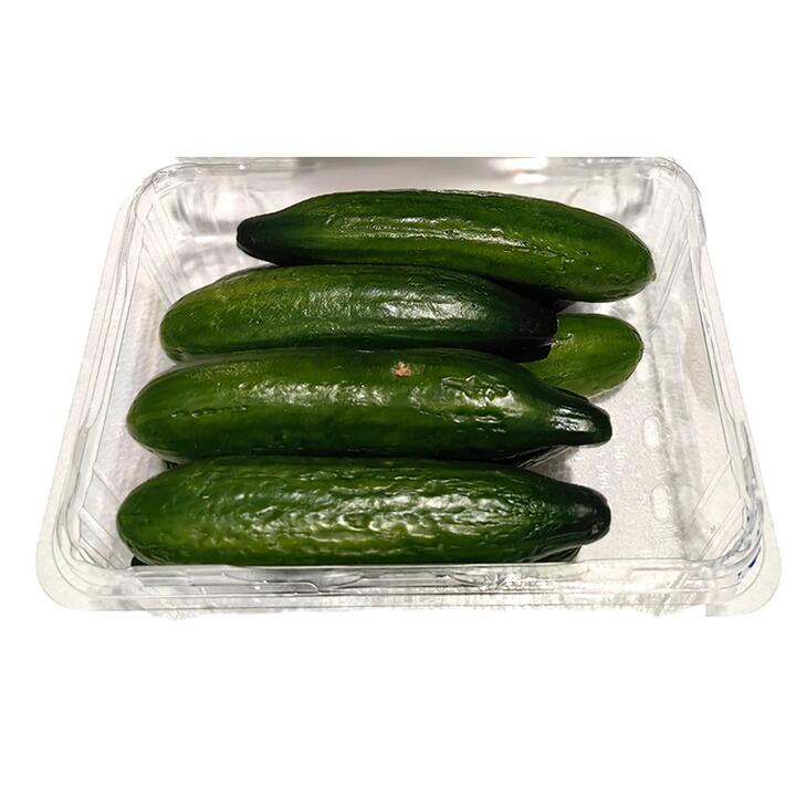 Mini Cucumbers - 500g