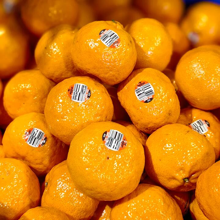 Avana Sweet Oranges - 1kg