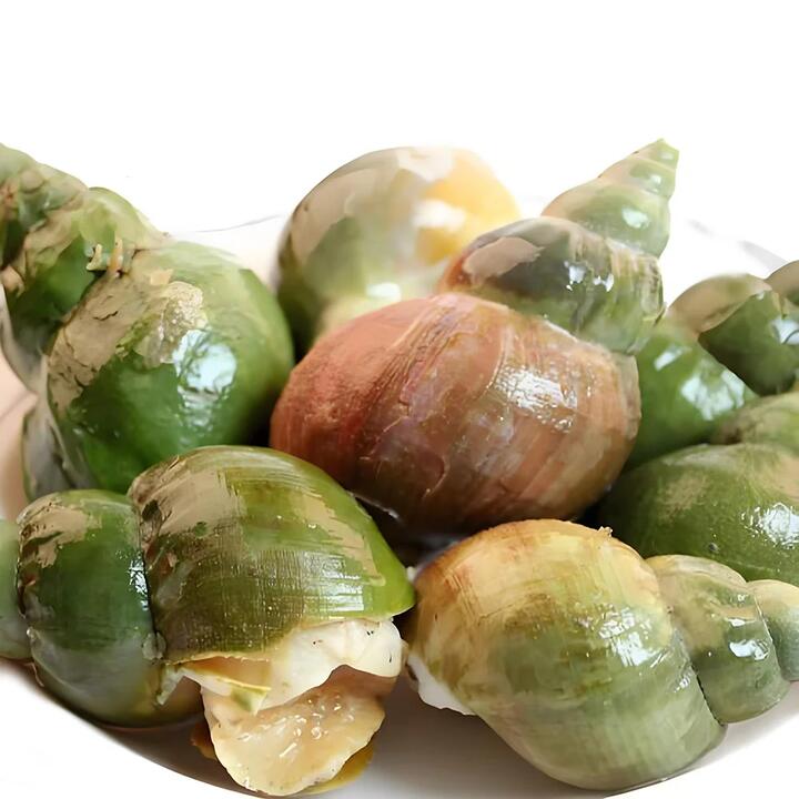 Oceans 888 Frozen Cooked Pila Snail - 1kg