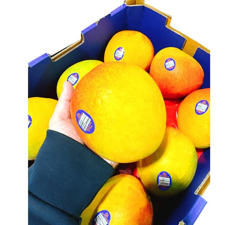R2E2 Mango - Extra Large Size 8, 1 Piece - Gourmet Grocer