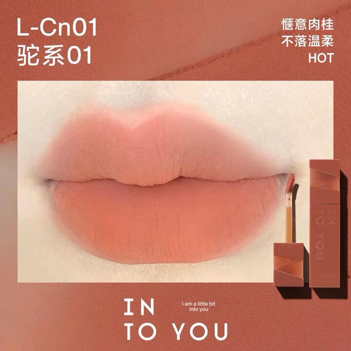 INTO YOU Soft Matte Lip Tint L-Cn01 Camel Series