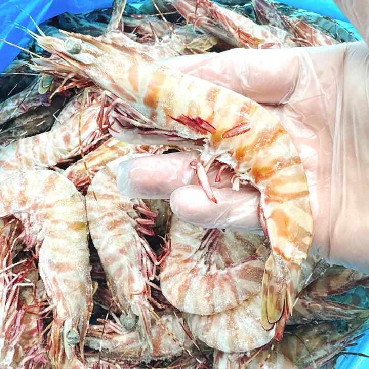 Tarni Raw Brown Tiger Prawns Size 16/20 - 500g