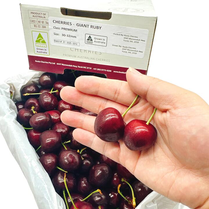 Koala Cherries Gift Box 30-32mm - 2kg