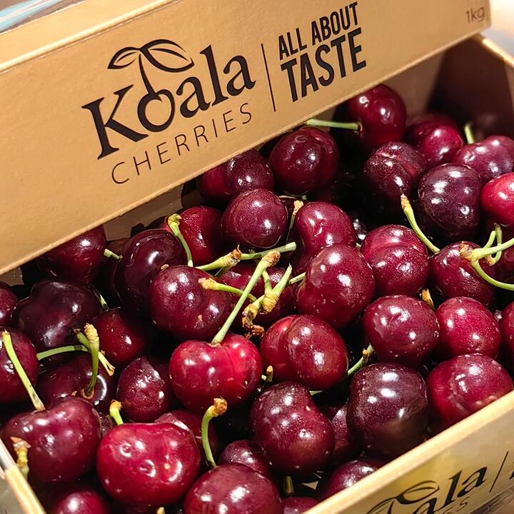 Koala Cherries Gift Box 32-34mm - 1kg