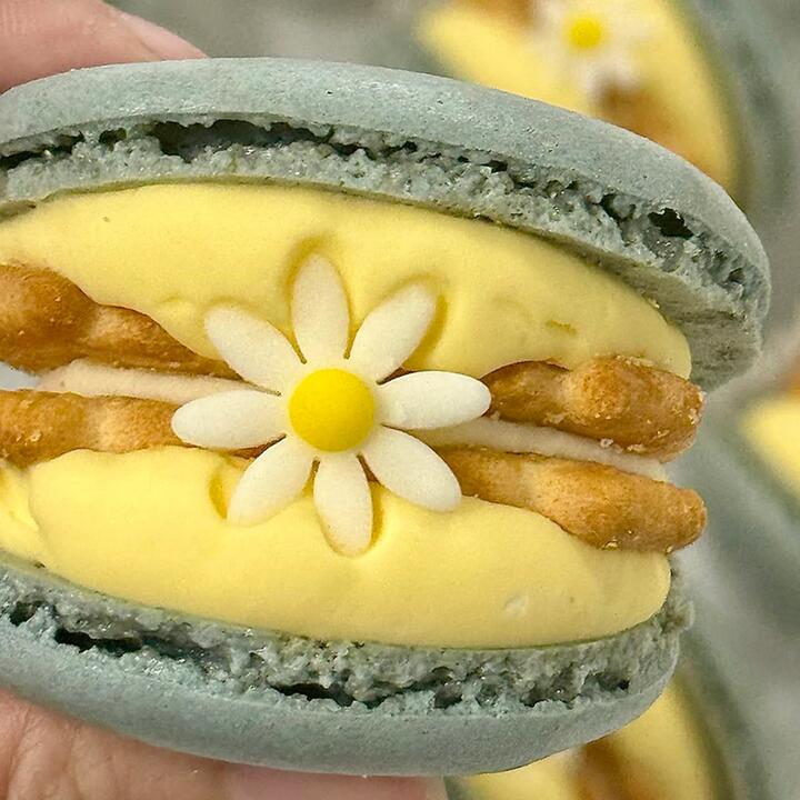 G-LAB Grapefruit Cheese Macaron - 1 Piece