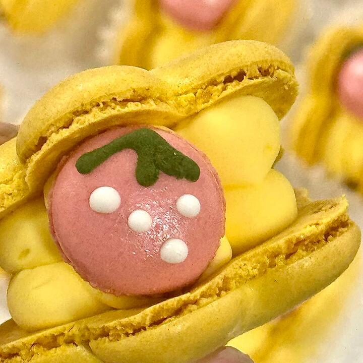 G-LAB Dried Mandarin Macaron - 1 Piece