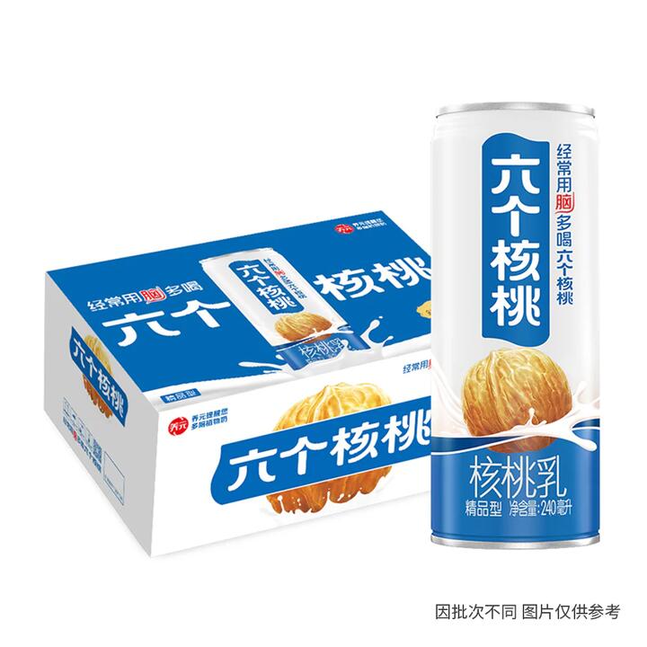 Six Walnuts Walnut Milk - 240ml x 20 Bottles