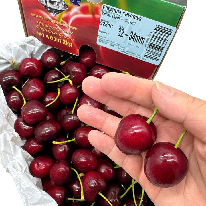 WVF Premium Lapin Cherries Gift Box 32-34mm - 2kg