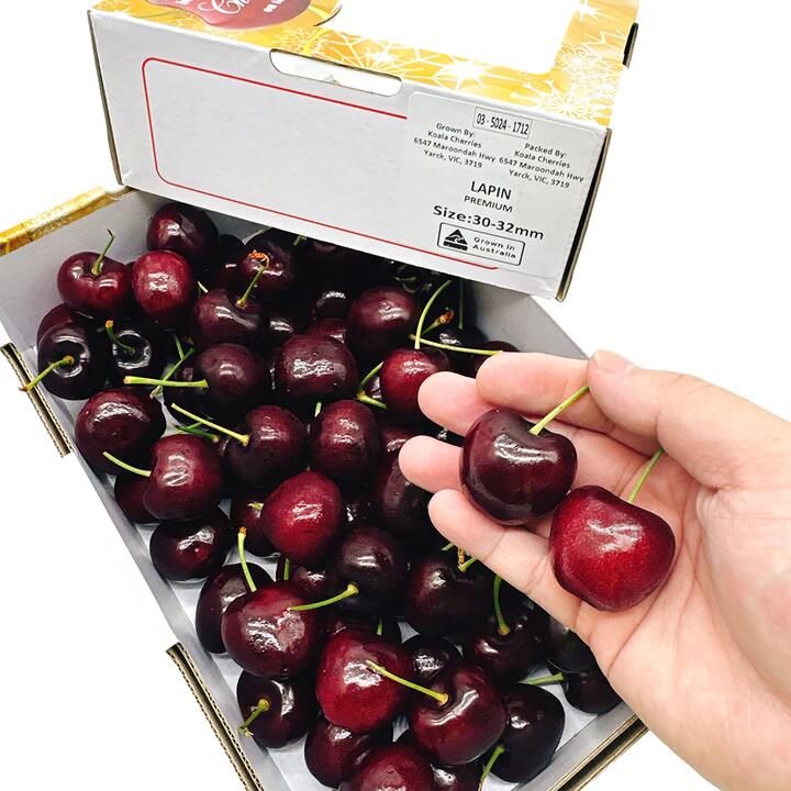Koala Lapin Cherries Gift Box 30-32mm - 1kg