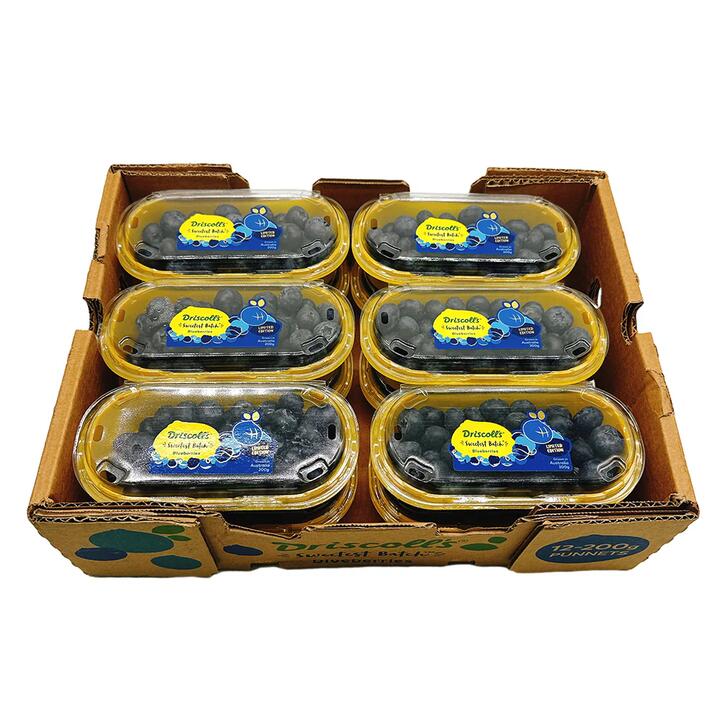 Driscoll's Blueberries - Box of 12 Packs