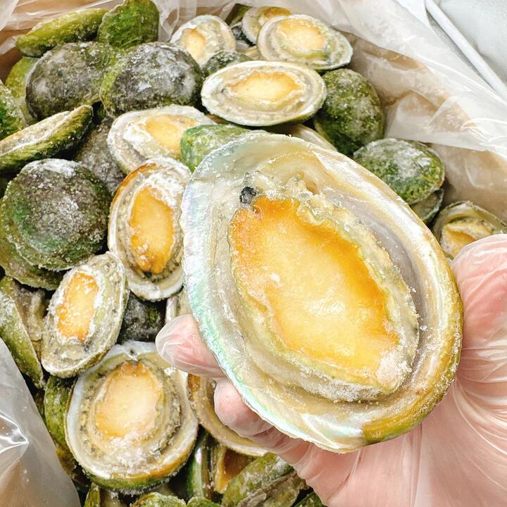 South Australian Greenlip Abalone 10-11 Pieces 900-1000g