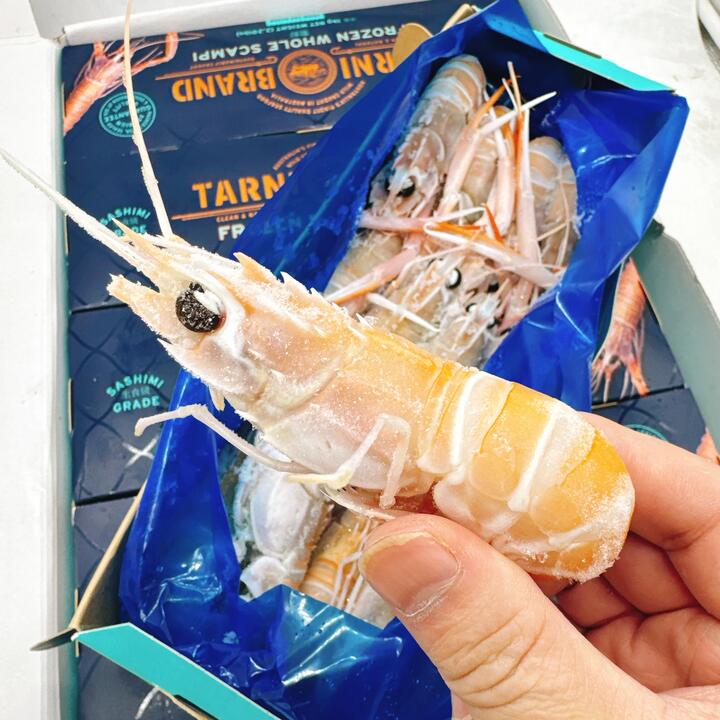Tarini Brand Frozen Wild Western Australian Scampi NO.4 - 1kg