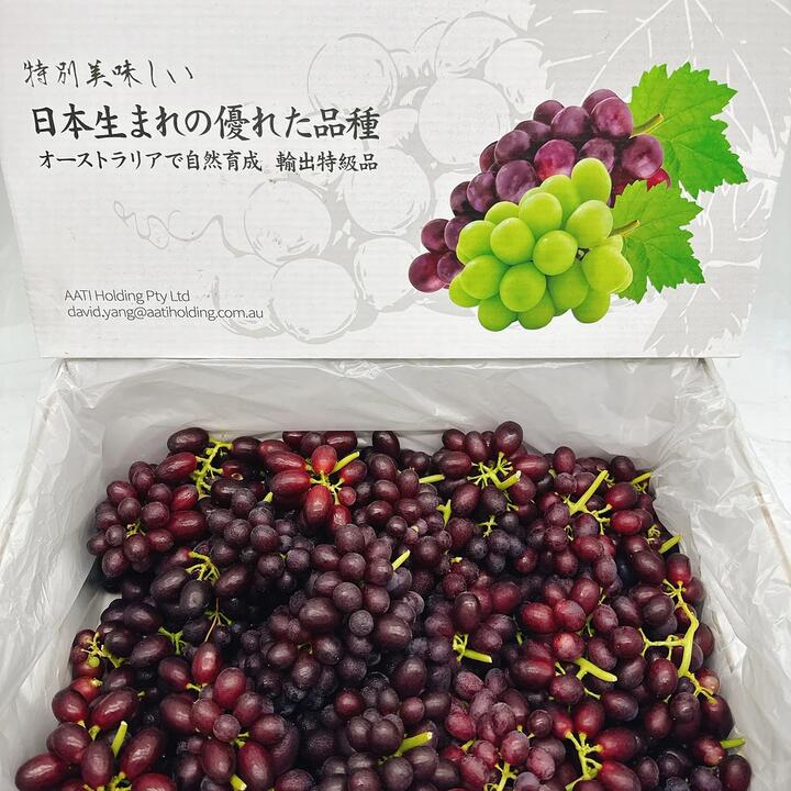Japanese Black Muscat Grapes - Box of 3kg