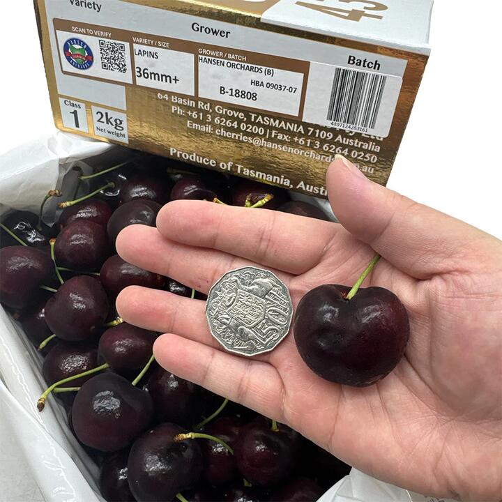 Tasmanian Hansen Lapin Cherries Gift Box 36mm+ - 2kg