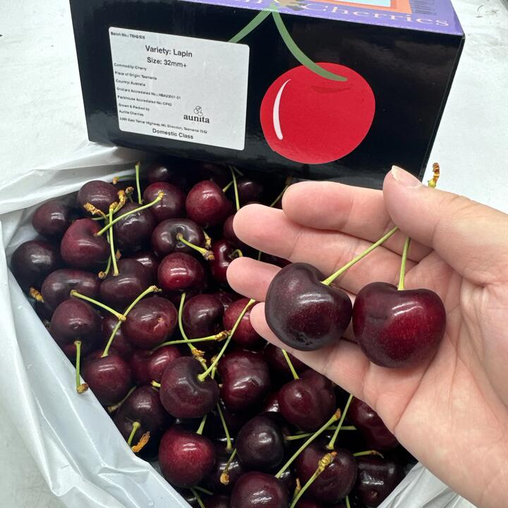 Tasmanian Lapin Cherries 32mm+ Gift Box  - 2kg
