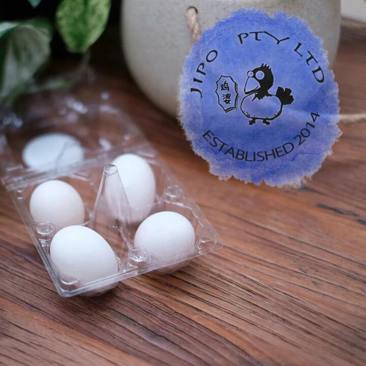 Jipo Fresh Pigeon Eggs - 4 Pieces