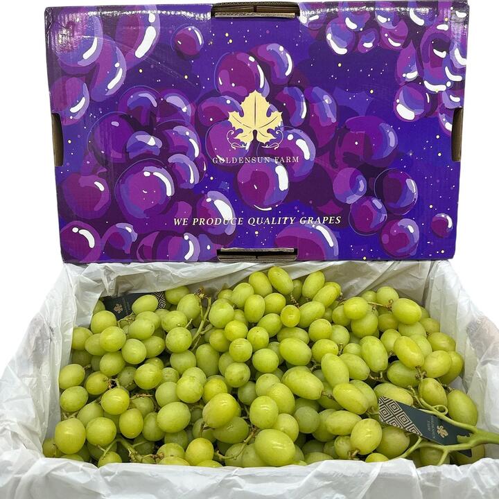 Australian Shine Muscat Grapes - Box of 4.5kg