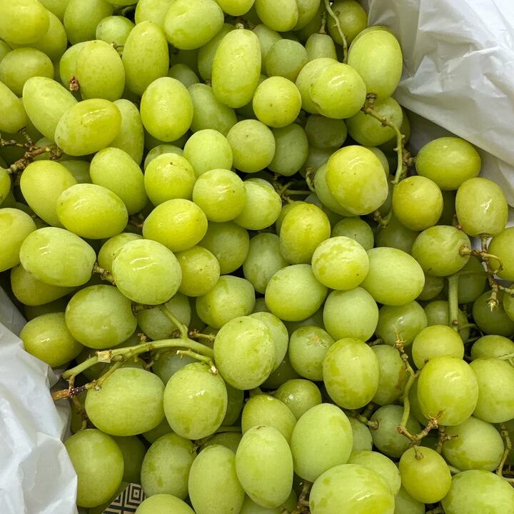Australian Shine Muscat Grapes - 900g