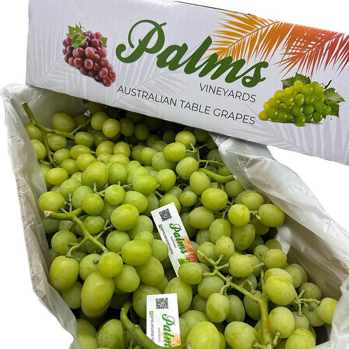 Local Autumn Crisp Shine Muscat Grapes - 900g