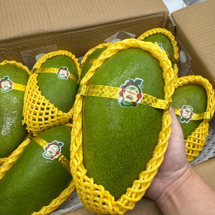 Vietnamese Green Mango - 1 Piece