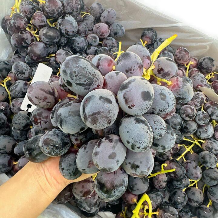 Australian Adora Black Grapes from Golden Gate Farm - Premium Size 26+ 900g