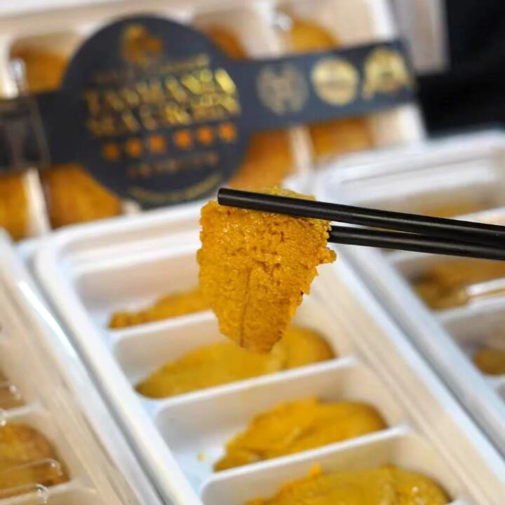 Premium Long Spined Sea Urchin - 100g