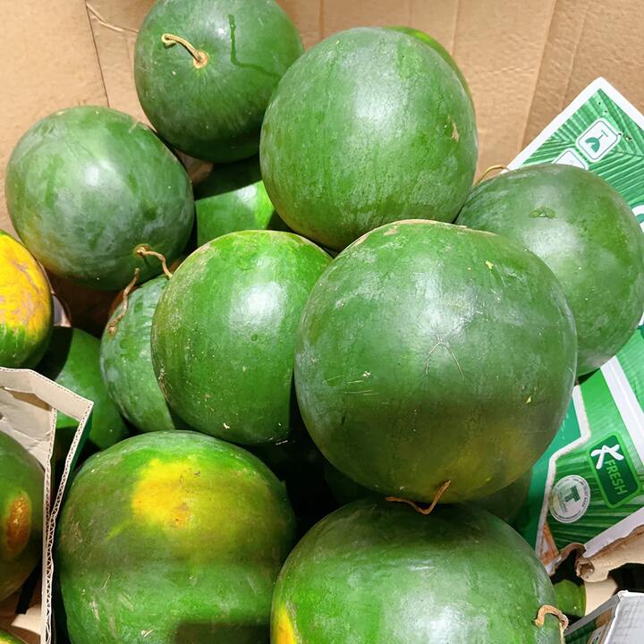 Seedless Watermelon 5-6kg 1 Piece