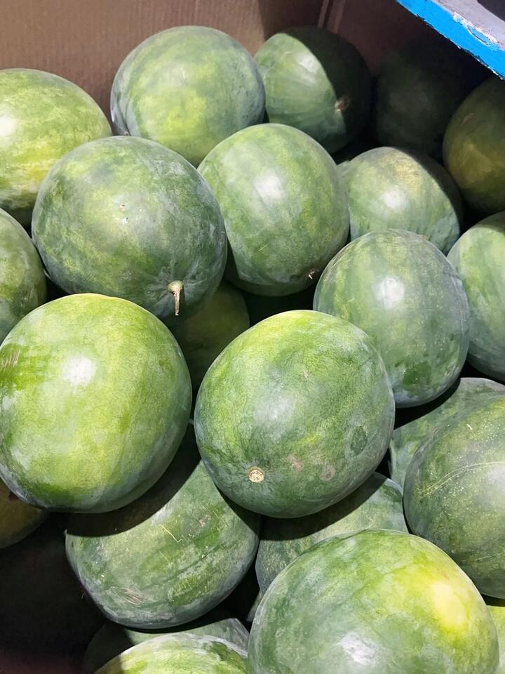 Watermelon 3-4kg