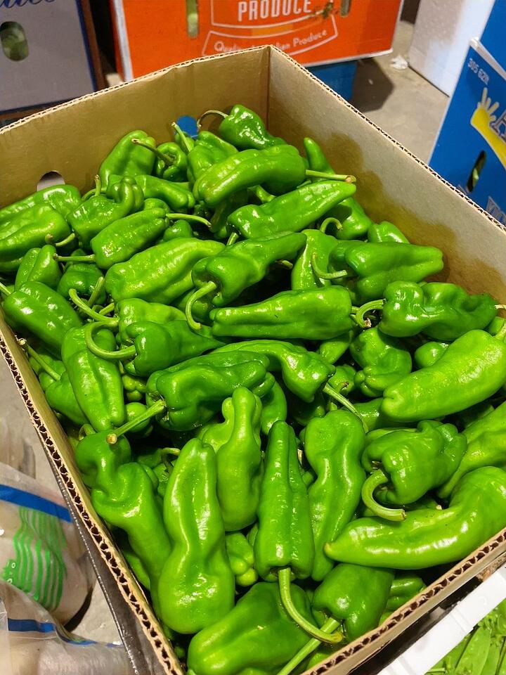 Pan-Seared Green Chili Peppers 500g