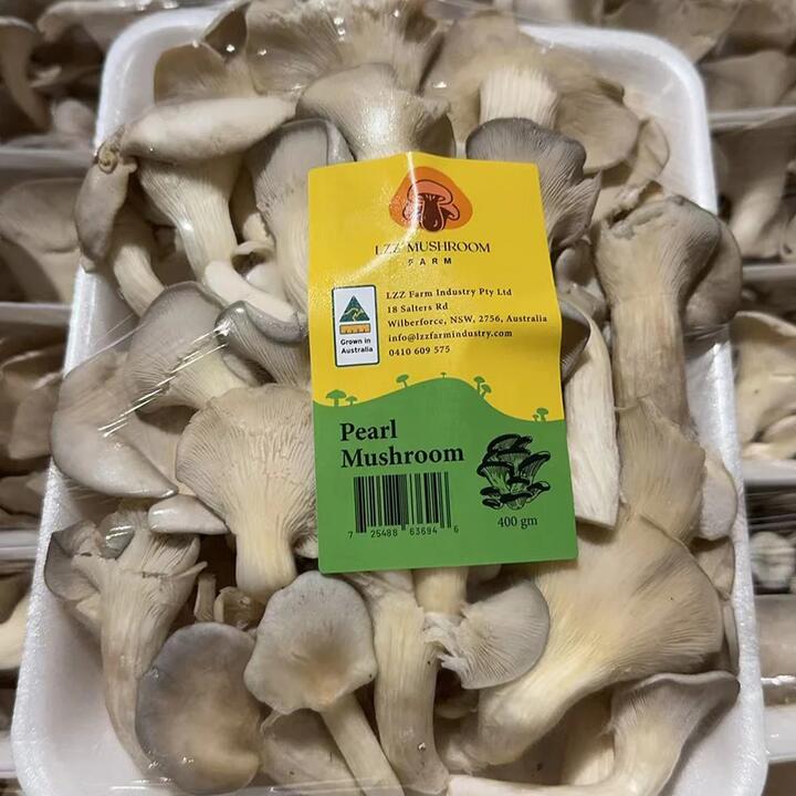 LZZ Pearl Mushrooms 400g