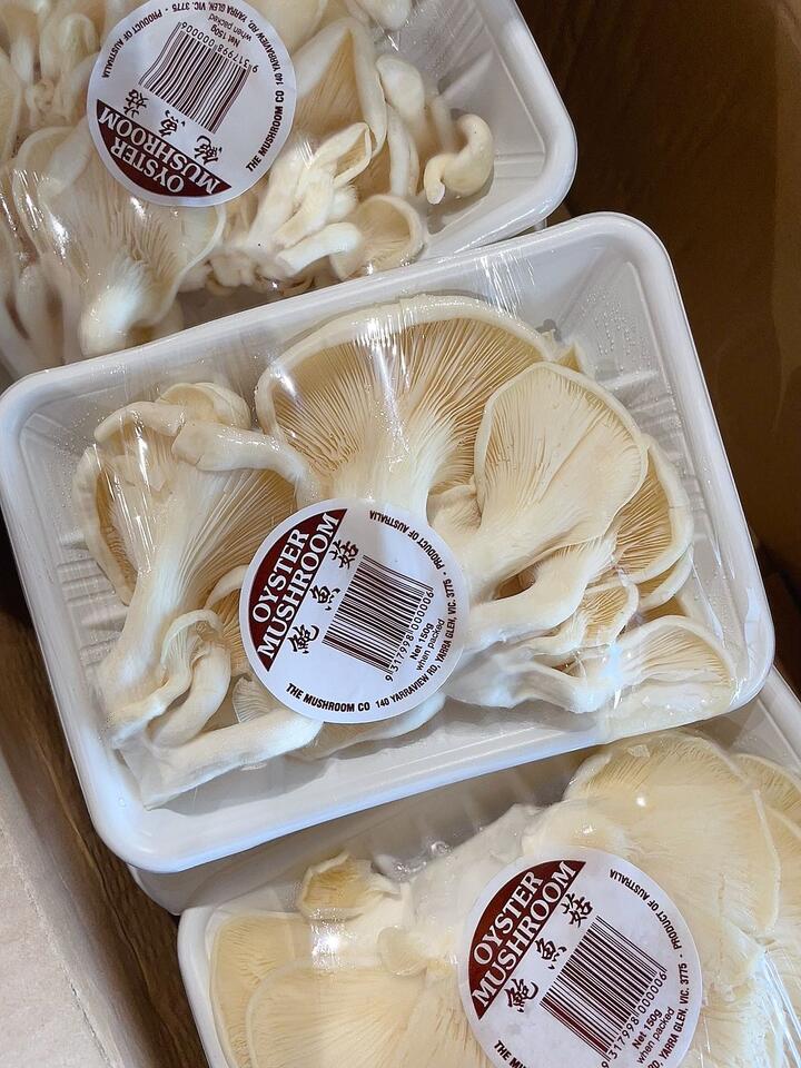 White Oyster Mushrooms - 1 Box